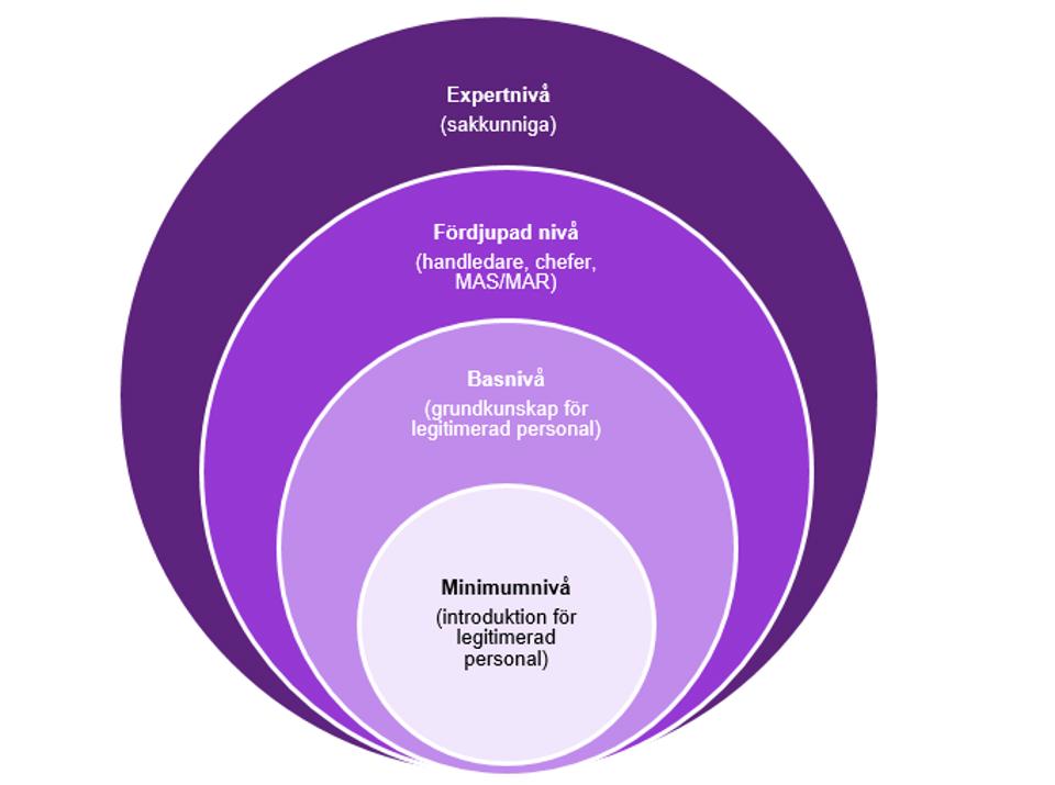 Diagram. 1:  Minimumnivå (introduktion för legitimerad personal). 2: Basnivå (grundkurs för legitimerad personal). 3: Fördjupad nivå (handledare, chefer, MAS/MAR). 4: Expertnivå (sakkunniga). 